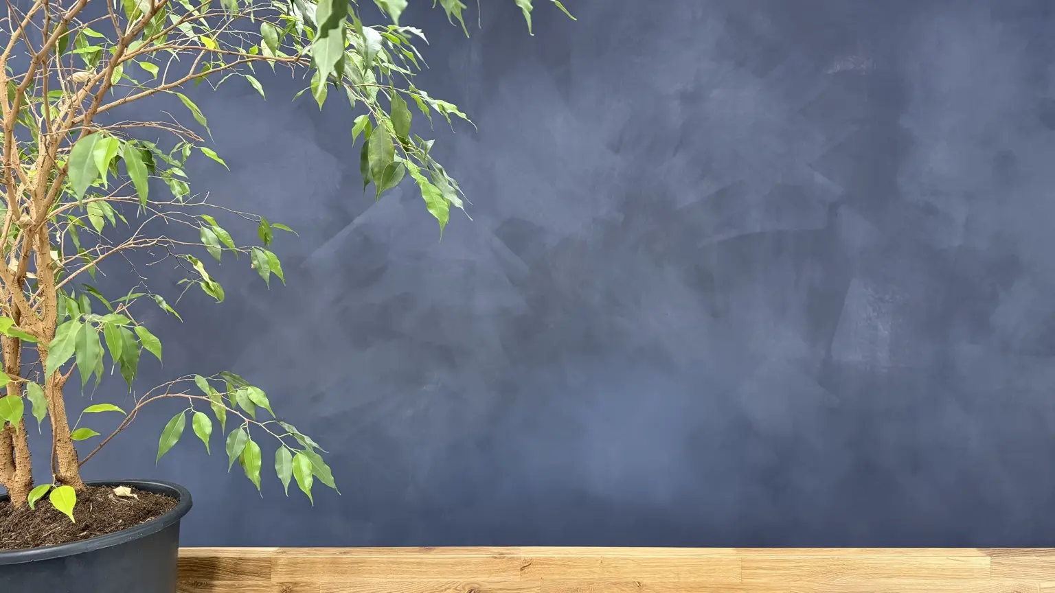 Material wall with indoor planting